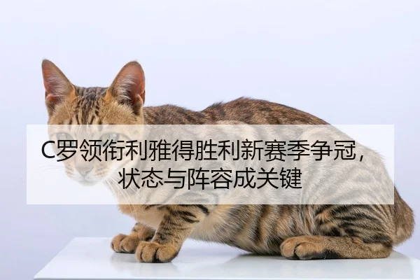 C罗领衔利雅得胜利新赛季争冠，状态与阵容成关键