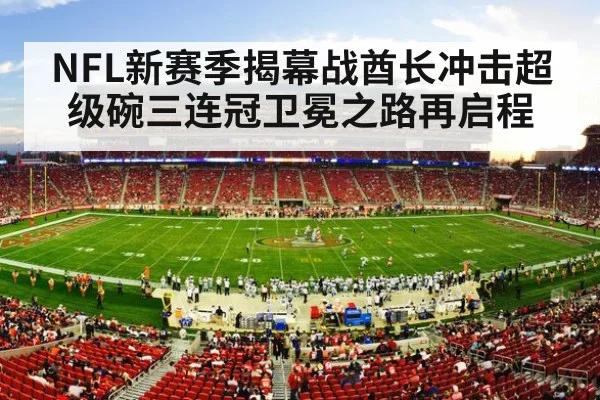 NFL stadium crowd